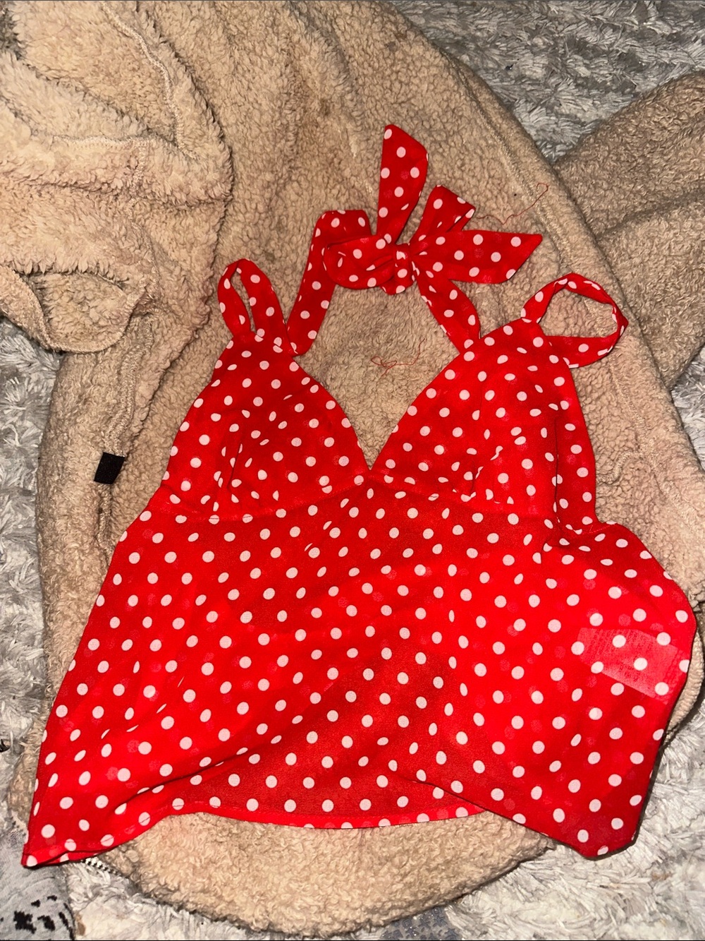 Red Polka Dot Halter Crop Top